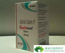 �ΰ�����ҩ��������(GEFITINIB)������ڹǹؽ��׵�����