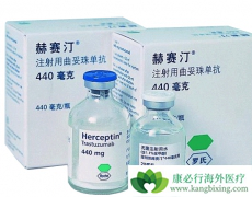 ���ٰ�ҩ�����͡Ҳ�����ڸ���Her-2����θ�����˵�������