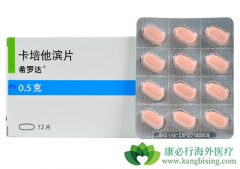 �����������Ƶ��µ�PPE�̷���ָ����ʧ������������������Ӱ��