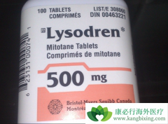 ������Ƥ�ʰ�����������Ҫ����̹����������