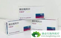 ��������(Lynparza)���ӻ������ѳ����Ľ�չ