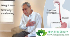 ʳ����/ʳ�ܰ����Եķ�������Ҫ��Ů�Ը���