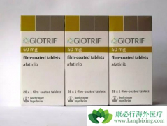 ��������(afatinib)�Է��ٰ����ߵ�������Ӱ����