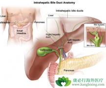 ��ҩinfigratinib�������ڵ��ܰ����ߵ�����Ч����ô����