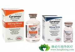 ��Ī«������Ramucirumab����������������ĸ����Ƹΰ�Ч���ã�