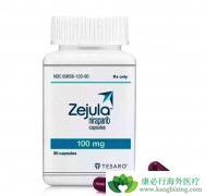 ��������ά�����ƿ��ӳ�gBRCAͻ�仼���ı����޽�չ����