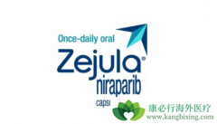 ��������(ZEJULA)����PD-1���Ƽ��Բ����������ѳ�����������Ч��