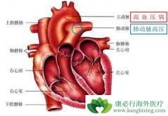 �̵���Ч���Ʒζ�����ѹ�İ���ҩ������Щ