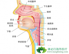 ���ڱ����尩�ĵ���֢״������Щ��