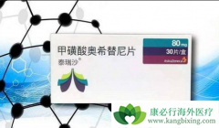 ��ϣ����/̩��ɯ�����ܴ���Ƴ��EGFR���Ƽ�