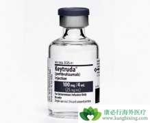 ��ķ����(pembrolizumab)�������ٰ�������Ч�Ͱ�ȫ��