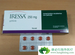 һ��EGFR-TKI�����������ӳ����ߵ�������