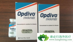 ���䵥��(opdivo)������״ϸ�����ͷ�С�ΰ�Ч�����ڻ���