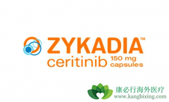 ���߳��ֲ�����Ӧ����ε���ɫ������(ZYKADIA)�ļ�����