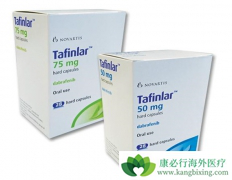 ��������������������Ժ�ɫ�����и�����Ч�ͳ־õ���������