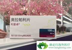 PARP���Ƽ�����������������Ⱥ����Щ��