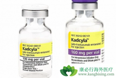 T-DM1�����ڼ�Ҫ����Ǳ�ڼ����Է����Ի��������Ͳ�����Ӧ