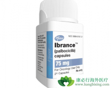 ��������(Palbociclib)���µ�������ϸ��������Ҫ������