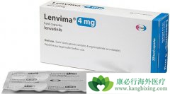 ��Է����ַ�����(lenvatinib)���ֵĲ�����Ӧ�Ĵ�������