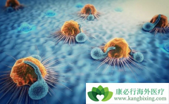 ����ҩ����ΰ��������û�Ի����������ʲôӰ�죿