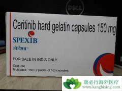 ɫ�������ALK���ŵ�NSCLC����ͬ����ȫ��Ч