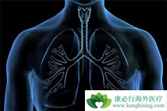 Сϸ���ΰ�������֢״���˿��Ի�����������