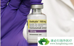 T-DM1����ʧ�ܵ����ٰ����߿��������޻�������