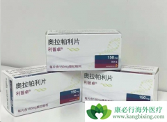 ����������PARP���Ƽ������ѳ�������Ч����ô����