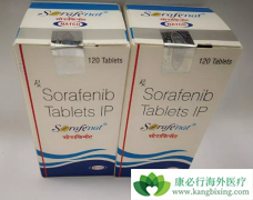 ��������Ƭ�ܹ���׼�������ڸΰ�ϸ�������ٲ���Ҫ������