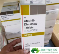 �е�ΪEGFR�ķΰ�����ҩ��������Ҳ������HER2ͻ��ķ��ٰ�