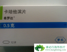 ��������Ƭ���ɳ�����������߻�������