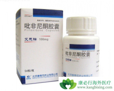 ������ͪ�����ӻ��ط��Է���ά�����߷ι���ָ����½�