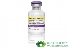 Kadycla����ʧ�ܵ����ٰ����߸���ô���ƣ�