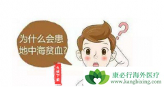 ���к�ƶѪ����ҪΣ������Щ��