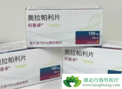 PARP���Ƽ������������ҹ��׸��ѳ������ư���ҩ��