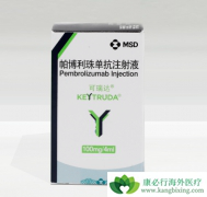 PD-1���Ƽ�������������Merkelϸ��������