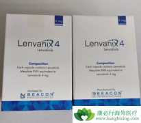 �ַ�����һ���������ڸΰ�����Ч�ʺ��޽�չ��������ʤ�༪��