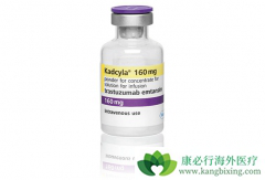 T-DM1�������ٰ�����Ч�ͺ���͡����ĸ��ã�