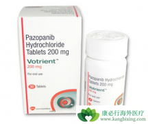 ��������(Pazopanib)���й��������������в�����Ӧ�����ʸ���