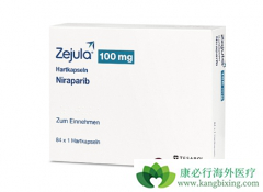 ���������������ٰ�����Ч������������PARP���Ƽ�ҩ���