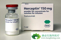 ����HER2�������ٰ�����Խ��ʹ�������鵥���ٴ����Խ��
