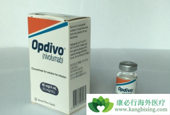 ���䵥��(opdivo)��������ҩ��������Щ��Ч���ֱ���Σ�