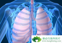 ����᲼(nintednib)����ʵӦ���еİ�ȫ��