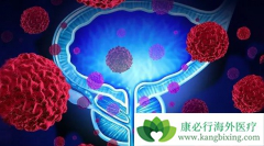 ������Щ��������Ⱥ�����׻���ǰ���ٰ���