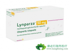 PARP���Ƽ����������������������ٰ���������Ч��