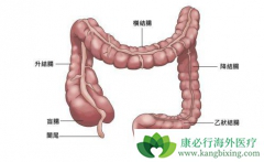 ֱ�����ͽ᳦��֮�便���к�����