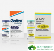 Opdivo��Yervoy����Ʒ��ܹ�����������ϸ������