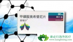 �ΰ���Чҩ��ϣ����(Tagrisso)�Ļ�������