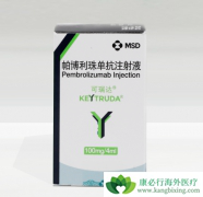 �����Ʒ�������������ͷ����״ϸ������