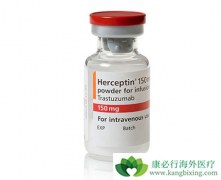 ����͡����HER2��������θ������Ч������